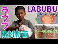 ラブブ開封動画