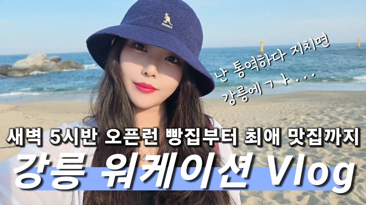 언니 지쳤다 힐링하러 강릉 간다🤦🏻‍♀️근데 일도 해🙄하지만 다이죠부 맛집이 넘흐 많쟈낫⭐️(에비다, 부성당, 동해일미, 처음처럼새로체험관, 대게특별시, 고래책방, 카페초이 등)