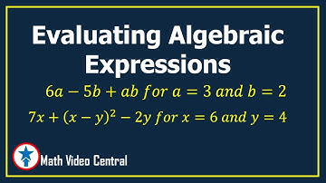 Evaluating Algebraic Expressions | Algebra 1 | Math Video Central