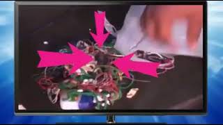 Prophet Bushiri Exposed!!