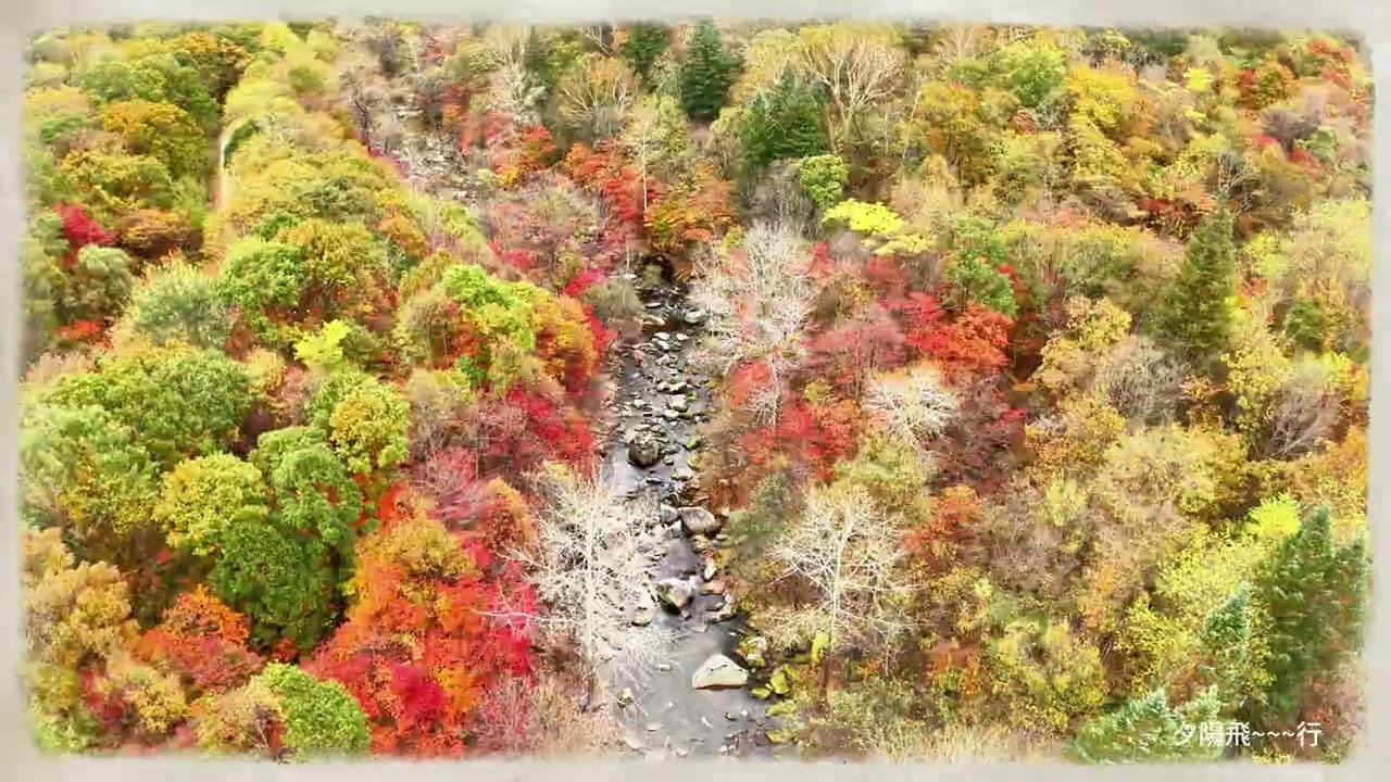 本溪 大地野溪楓林
