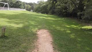 Pine Grove Disc Golf Course Hole 4