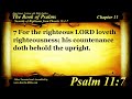 The Book of Psalms | Psalm 11 | Bible Book #19 | The Holy Bible KJV Read Along Audio/Video/Text