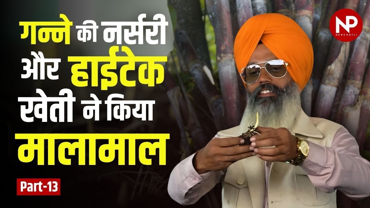 चुटकी विधि से गेहूं बुवाई, बेड पर गेहूं, नाली में गन्ना, ड्रिप और स्प्रिंकलर से सिंचाई || #kheti