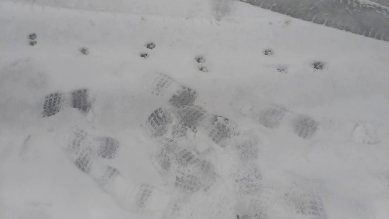 Teho-Ulvo D1200 Jyväskylän Haapaniemessä