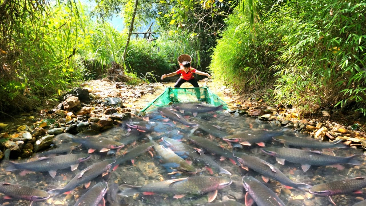 The boy set a net to make a trap to catch fish in the stream, luckily ...