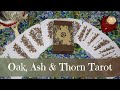 It's finally here!! Oak, Ash & Thorn Tarot | Meditative Animal Deck | First Impressions Walkthrough