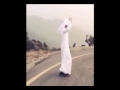 شيلة ياحمامه غريبه بصوت منشد مطير فهد العيباني
