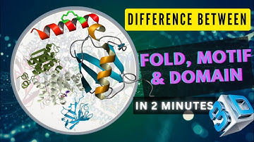 What Is Difference Between Fold, Motif & Domain Of Protein | In 3DAnimation | CSIR-NET Life Science