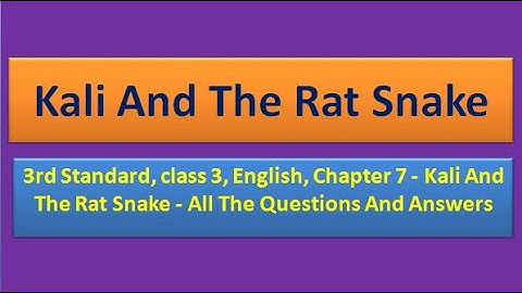 3rd Standard, class 3, English, Chapter 7 -  Kali And The Rat Snake - All The Questions And Answers