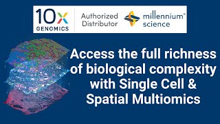 Access the full richness of biological complexity with Single Cell & Spatial Multiomics