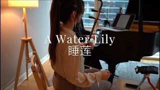 【Erhu & Piano Cover】A Water Lily | 【二胡 & 钢琴】 睡莲