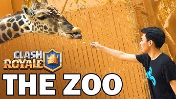 Cloud9 Clash Royale Explores The Zoo