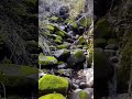 The Paradise.😍😍 #nature #climbing #mountains #river #valley #syria