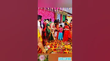 Raja Rani 2 serial Balaji weds Harini wedding#part4 #sahithyasrivlog#srisaravanasai