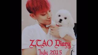 Z.TAO Diary June & July 2015