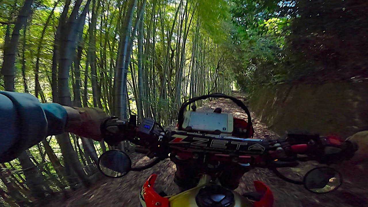 中田川沿いの林道をビビりながら下る。