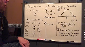 Hypothesis Testing: Paired T Test