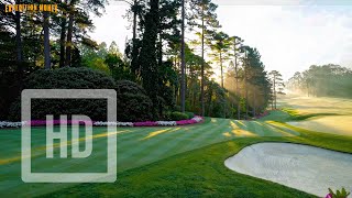 8 HOURS Dream Golf Course at Sunrise 🏌️‍♂️MASTERS OF MORNING AMBIENCE screenshot 3