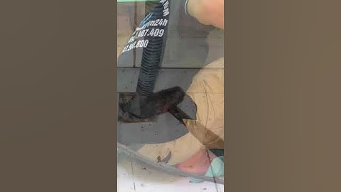 Thông tắc cầu cống - Camera nội soi -  0937.407.409 - Thành Nguyễn 24h  #thongcongnghet