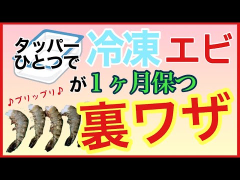 築地の魚屋直伝！余った【エビ】を【保存】する方法！How to store shrimp taught by tsukiji fishmongers