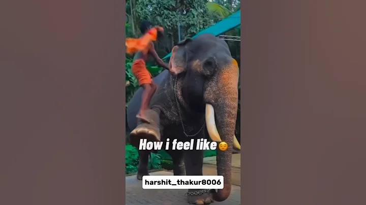 #scorpio #automobile #shortvideo  #funny  #comedy #funny #bhai #shorts #shortvideo