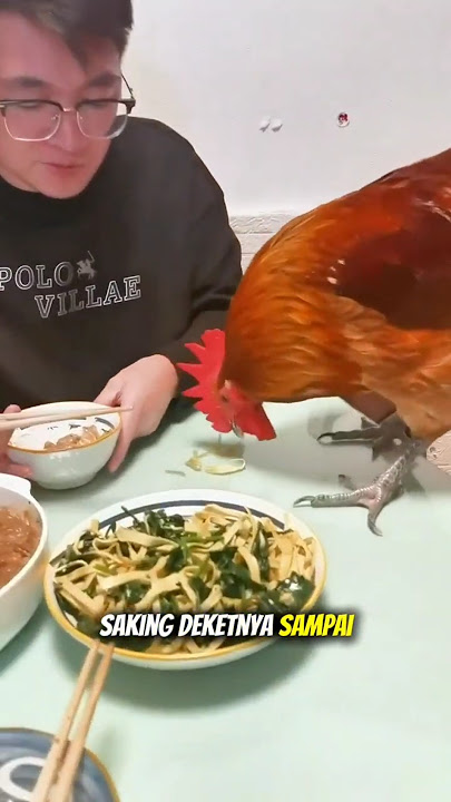 EATING WITH YOUR FAVORITE CHICKEN!? #trending #chicken #viral #shorts #viralshorts