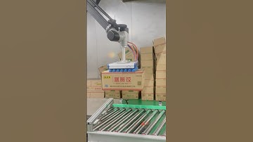 Fried dumpling precision handling machine. #machine #factory #automation #Palletizing robot