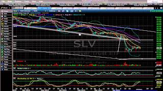 Next Move for Silver - Mid May 2013
