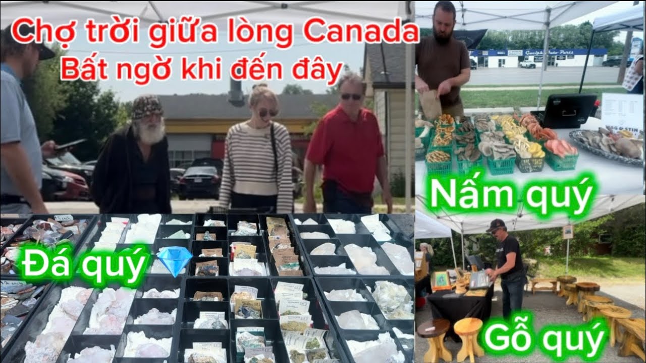 khám phá chợ trời giữa lòng Canada quá trời nấm quý, ngỗ quý, đá quý nhìn thấy mê 
