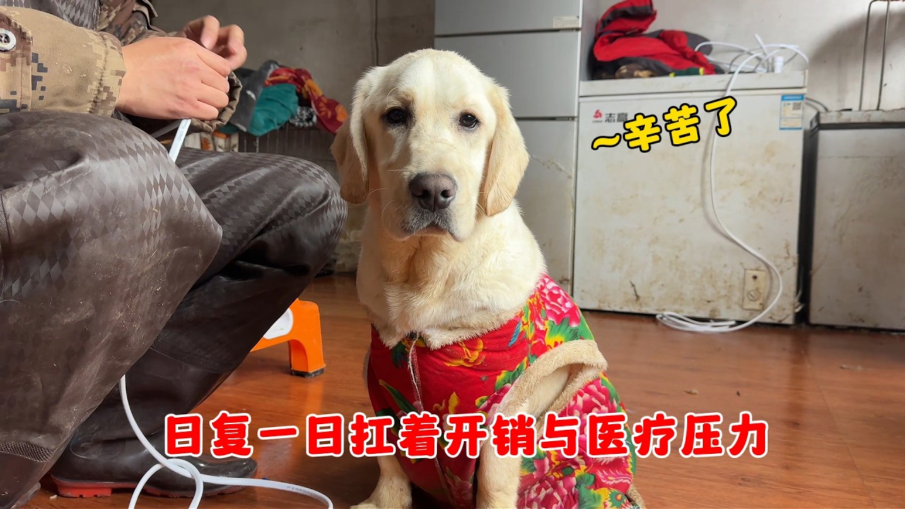 救助從無容易二字，日複壹日扛著開銷壓力，省吃儉用默默堅守