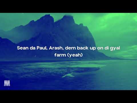Arash Sean Paul She Makes Me Go Lyrics 