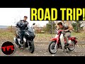 "Adventure" Scooter Vs Modern Classic: Can You ACTUALLY Take EITHER Of These Hondas On An Adventure?