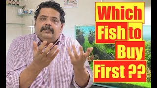 First Fish for Your New Aquarium | Top Fish to Buy & Fishkeeping Tips