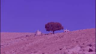 Ax Welatemın Memleket Hasreti Nusaybin Ezidi Köyleri