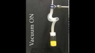 Soft Robotic Tentacle Lifting a Bottle