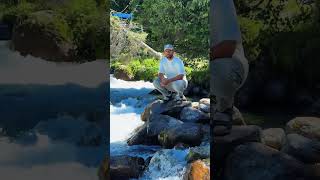 Fresh Mountain Water in Pine Forest 🌲💧 | Pure Nature Experience