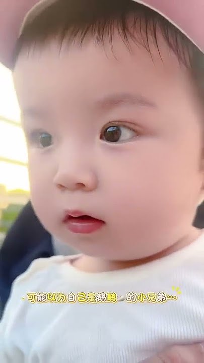 Xiao Chengcheng's Douyin