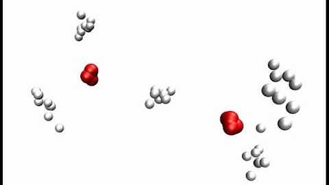 Path-integral molecular dynamics simulation of H5O2 in gas phase