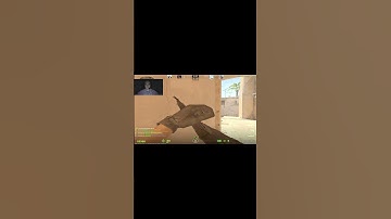 моменталки которые спалили на мажоре#cs2 #cs2funny #csgo #cs2bug #fail #gaming #foryou #игры