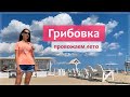 Грибовка 2021: отдых в отеле на море (пляж, питание и цены).