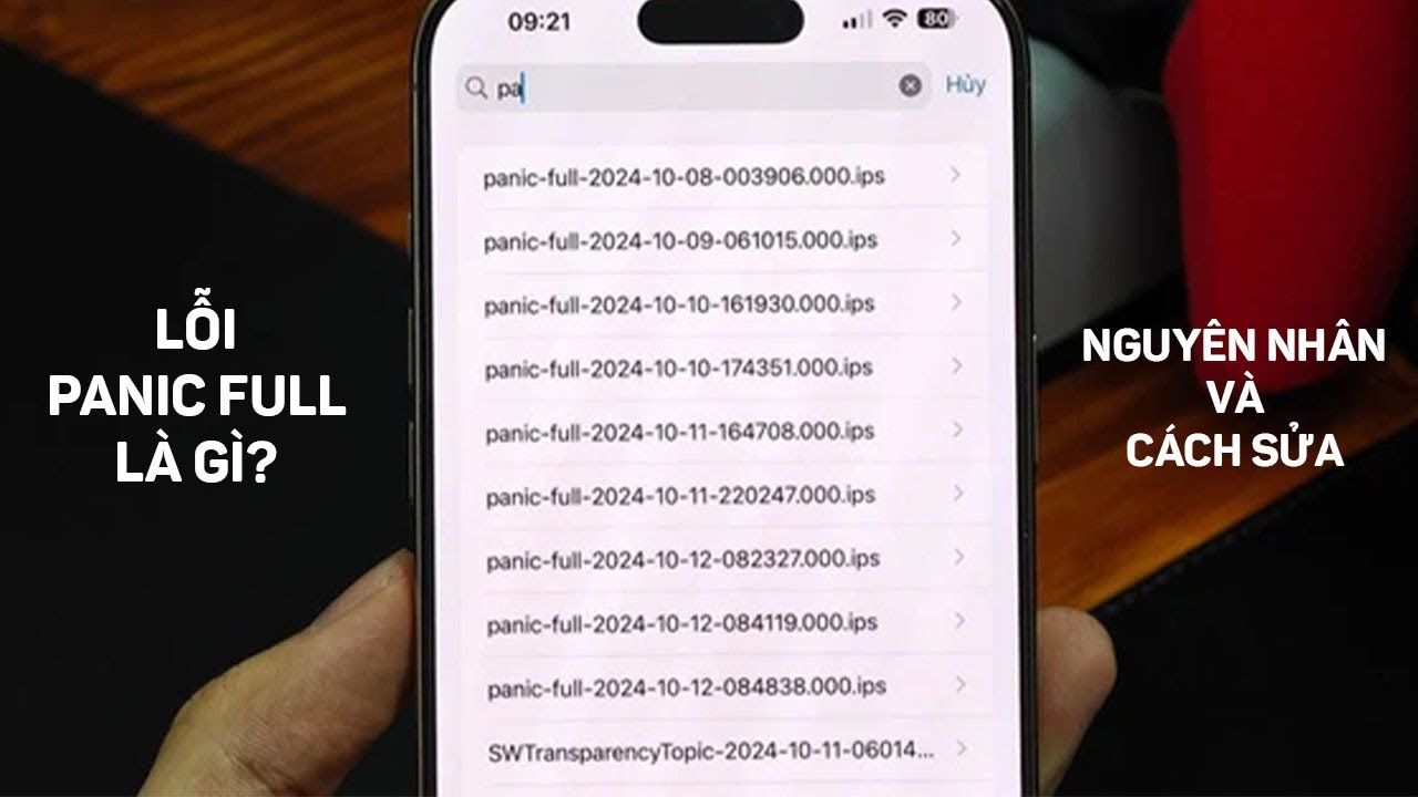 Lỗi Panic Full iPhone 16 Pro Max là gì? iOS 18.1 Có Sửa Được Không ...