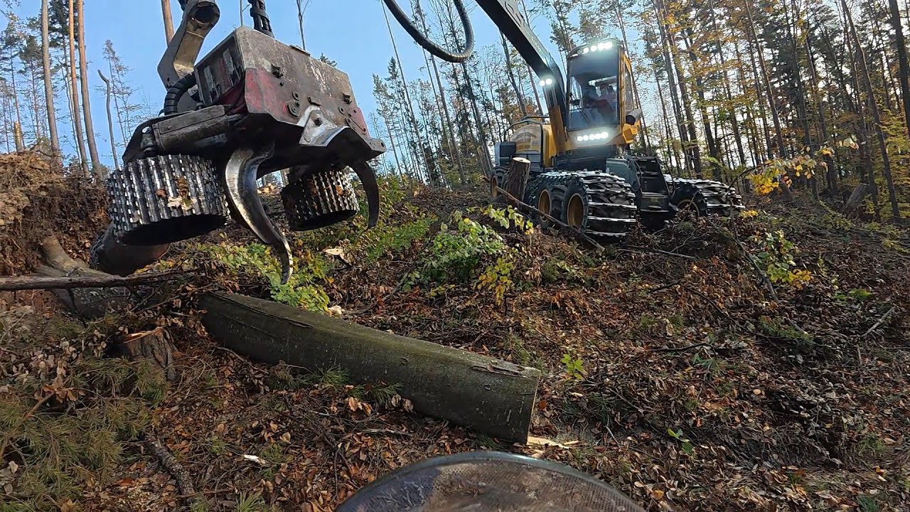 🌲 Eco Log 688 Seep Hunter und Husky 560 im Windwurf 🌲