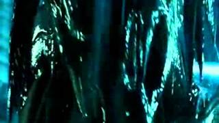 Wolf Predator vs Predalien