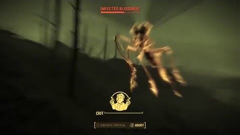 [Fallout 4] Even the Mysterious Stranger hates Blood Bugs