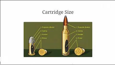 Bullet Comparison | Calibers and Bullet Measurements Explained