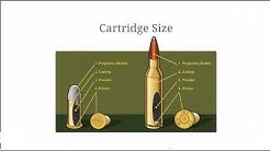 Bullet Comparison | Calibers and Bullet Measurements Explained 