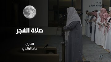 فجرية خاشعة للقارئ / خالد الريّاعي