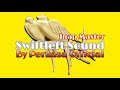 Suara Inap Master Terbukti Mampu Menginap Kan Burung Walet Mp3 - Mp4 Download