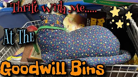 THRIFT WITH ME | A Trip To The Goodwill Bins